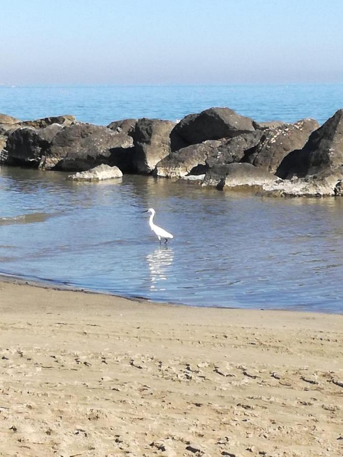 Appartamento Minerva Rimini Esterno foto